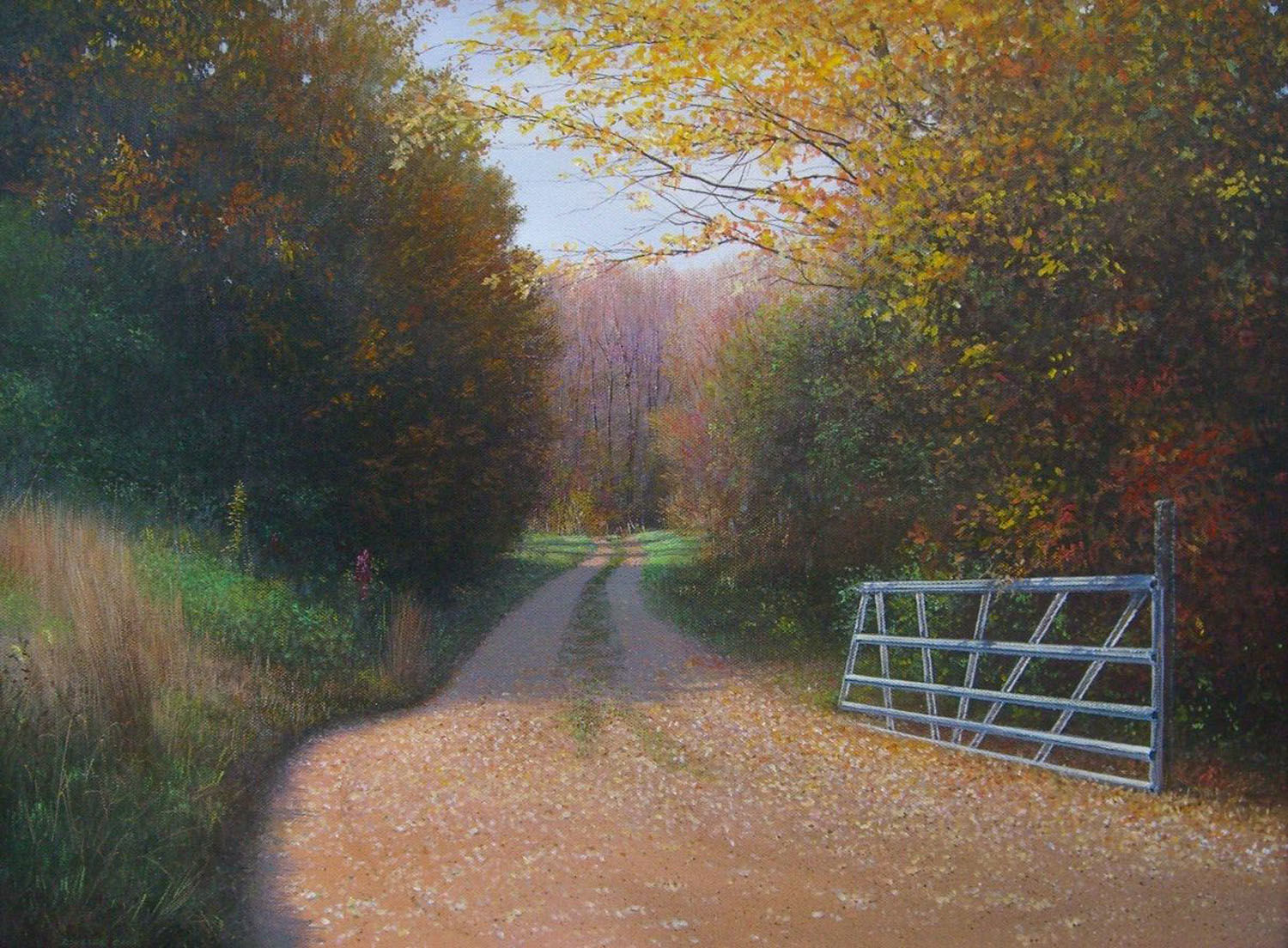 Doug Cave
